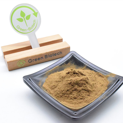 إمدادات المصنع Dendrobium Officinale استخراج مركز Dendrobium Candidum استخراج مسحوق