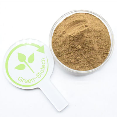 مسحوق الدندروبين النقي الطبيعي الناتج من الدندروبيم عالي الجودة