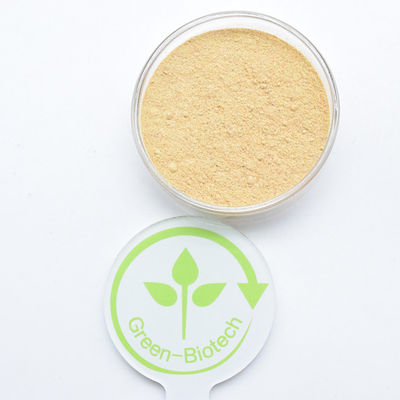 HPLC 90% Cyanotis Arachnoidea Extract Beta Ecdysterone Powder هيدروكسي إيكديسون