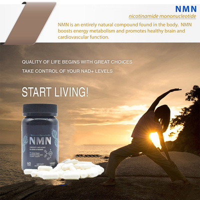 Longevity 600mg Pure Nmn الملحق كبسولة زيادة الطاقة