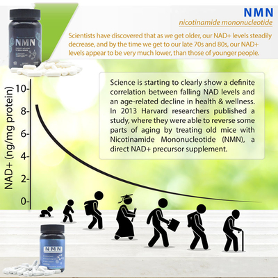 Longevity 600mg Pure Nmn الملحق كبسولة زيادة الطاقة